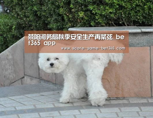 荥阳河务局秋季安全生产再紧弦_bet365 app(图2)