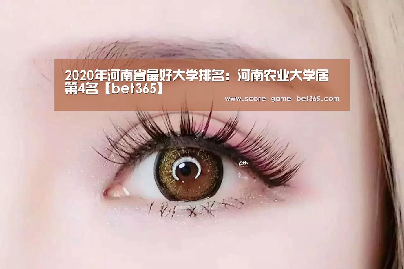2020年河南省最好大学排名:河南农业大学居第4名【bet365】(图1)
2020年河南省最好大学排名:河南农业大学居第4名【bet365】(图1)