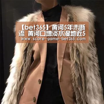 【bet365】黄河5年未断流 黄河口增淡水湿地近5000公顷(图2)