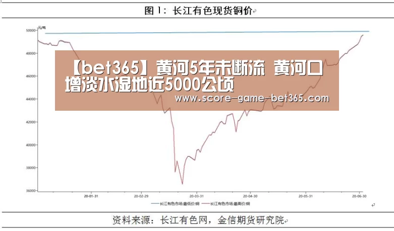 【bet365】黄河5年未断流 黄河口增淡水湿地近5000公顷(图1)