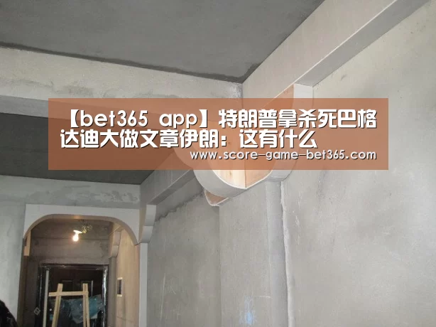 【bet365 app】特朗普拿杀死巴格达迪大做文章伊朗：这有什么(图4)